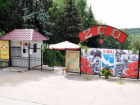 Амфитеатр, рестораны и туалеты появились в проекте реконструкции зоопарка Кишинева 