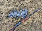 Житель села Скорцены стрелял в стаю голубей прямо на улице