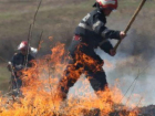 Украинский огонь добрался до Молдовы: возле Тараклии горит растительность