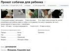 В Кишинёве теперь можно взять собаку напрокат - залог составляет 100 евро