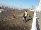 Смотровая площадка на Чеканах очищена от мусора