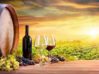 Молдавские вина завоевали 34 медали на международном конкурсе в Польше