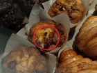 В кишиневском ТРЦ жирный таракан продегустировал выпечку в кондитерской