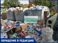 Вулканешты завалены мусором - местные жители погрязли в вони и нечистотах