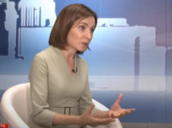 «Не имеете права!»: Санду де-факто запретила гражданскому обществу критиковать действия власти 