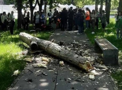 Бригадир Ассоциации по уходу за зелеными насаждениями осужден условно за смерть ребенка в парке «Алунелул»