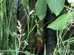 Гранатомет с боеприпасами нашли в лесу близ Комрата