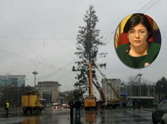 На деньги, возвращенные за позорную елку из Украины, Раду решила высадить в Кишиневе 15 елей 