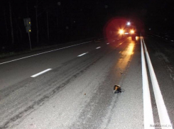 Водителя авто, раздавившего женщину на обочине, ищут в Криулянях 