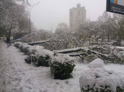 К «Воротам города» не ходят троллейбусы из-за оборванных деревьями проводов