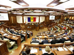 У парламентской фракции ДПМ новый лидер