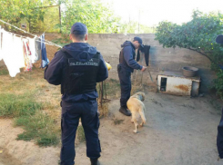 Прятавшему наркотики внутри газовой плиты смекалистому молдаванину не удалось обмануть служебных собак  