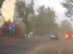 Падение дерева, чудом не убившего пешехода, попало на видео в Унгенах