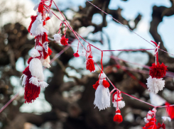 Молдова согреется до +12 °C, но к воскресенью снова мороз