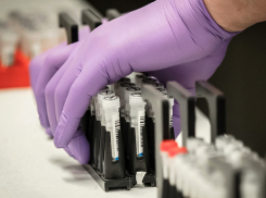 Проклятый коронавирус не отступает. + 1 280 новых случаев за сутки