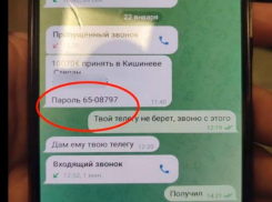 «Ваш родственник попал в ДТП»: раскрыта деятельность преступной группы