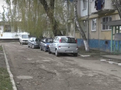 Маньяк отравленной едой истребляет кошек и птиц в Бельцах