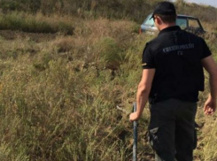 Одесский фермер через километровый трубопровод качал спирт из Молдовы