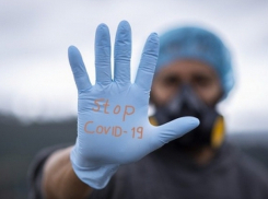 Цифры растут! В Молдове выявлено 559 новых случаев COVID-19  