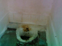 Ужасная ситуация с гигиеной в детсадах столицы вынудила родителей объявить акцию протеста 