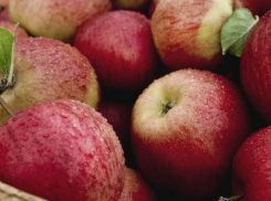 Фалештские фермеры продают сельхозпродукцию в ОАЭ и Катаре