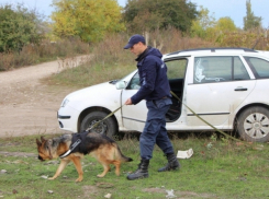 Угон автомобиля разыграл замеченный на месте кражи винограда житель Глодян 