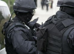 11 человек взяты под стражу по делу о «тренировках» в Сербии