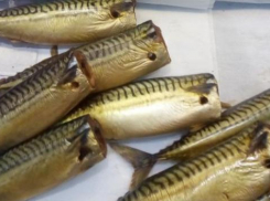 Цены на скумбрию в Молдове в некоторых магазинах взлетели до 390 леев за килограмм: жители возмущены