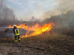 Более 600 гектаров сухостоя стали жертвой пожаров за сутки