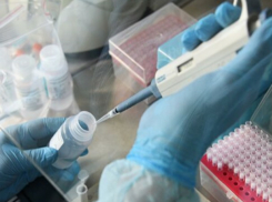 Более 50 тонн медицинского оборудования для борьбы с коронавирусом прибудет из Китая