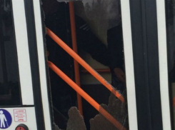 Курьезный инцидент в Бельцах: собака граненым стаканом разбила дверь троллейбуса