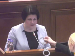 Таубер принесла в парламент наручники для Гаврилицы