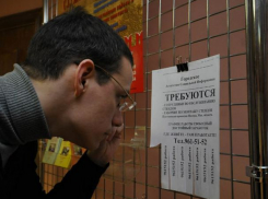 Агентство занятости подсчитало количество вакантных рабочих мест в Молдове 