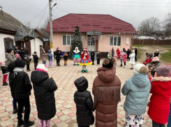 Рождественские елки с помпой открываются в разных населенных пунктах страны