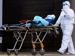 Новый антирекорд сезона! +850 новых случаев COVID-19  за сутки 