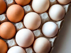 Глава ANSA объяснил высокую стоимость яиц