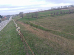 У Будешть столкнулись легковой автомобиль и грузовик