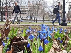 В пятницу в Молдове будет пасмурно