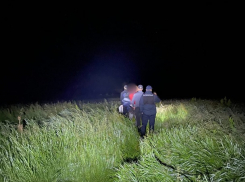 Украинцы нелегально пересекают границу с Молдовой: с начала 2024 года возбуждено уже 96 дел