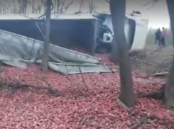 Тонны молдавских яблок рассыпались вдоль румынской трассы из-за опрокидывания фуры