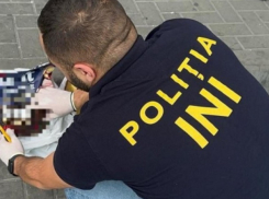 Из Украины в Молдову пытались провезти наркотики под видом собачьего корма
