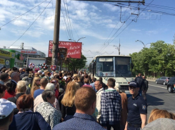Напоминаем: на каких бесплатных автобусах можно добраться сегодня и завтра до Дойны 