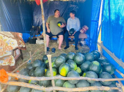 Спыну удивил большим арбузом