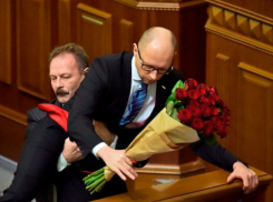 Скандальный украинский депутат протаранил трамвай и вызвал шквал насмешек