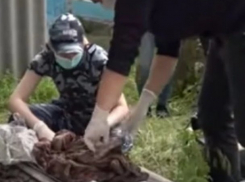 В Приднестровье нашли труп младенца, убитого собственной матерью 10 лет назад 