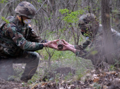 Саперы обезвредили старый арсенал боеприпасов в Яловенском районе
