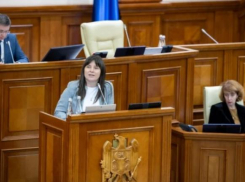 Депутат, раскритиковавшая «упитанных коллег» из оппозиции, представила свою декларацию о доходах