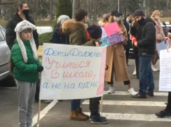 Онлайн-обучению – бой, - родители и дети вышли на протест