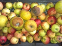 Гнилые фрукты и овощи обнаружили в детских садах Кишинева