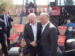 Поле молдавской кукурузы на белорусском тракторе засеяли Додон и Лукашенко 